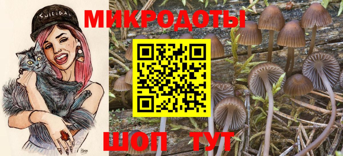 что такое наркотик  Псилоцибиновые грибы MAGIC MUSHROOMS  Фрязино  Вход с VPN  Галлюциногенные грибы Psilocybine cubensis 