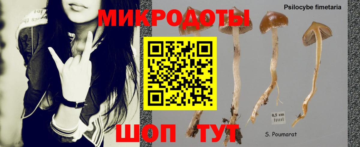 Псилоцибиновые грибы Cubensis Фрязино